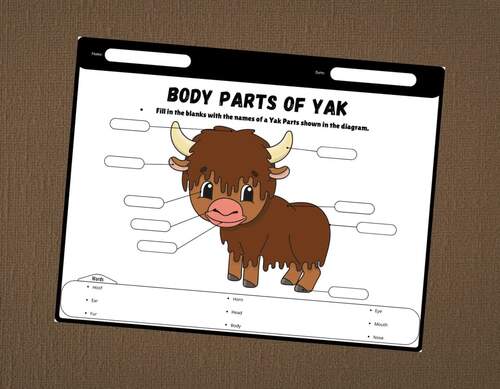 Body Parts of a Yak Worksheets | Yak Anatomy Labeling Activity,Word ...