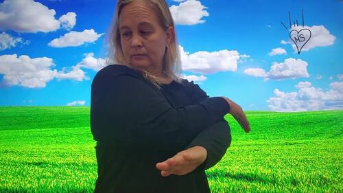 ASL Unit 7 Video 11 by Melissa Sexton | TPT