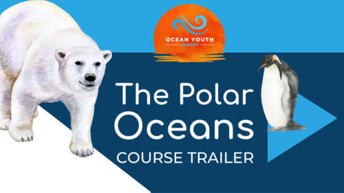 Preview of Polar Oceans Course Trailer