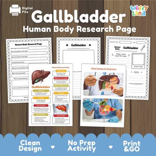 Gallbladder Human Body Research Project | Digestive System Science Informational
