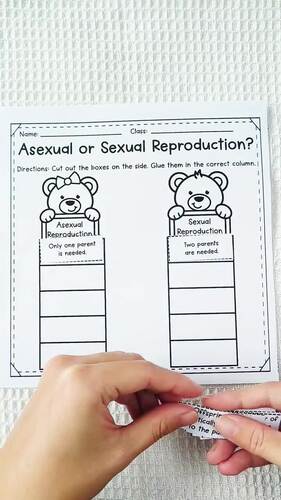 Asexual and Sexual Reproduction – Cut and Paste Sorting Activity