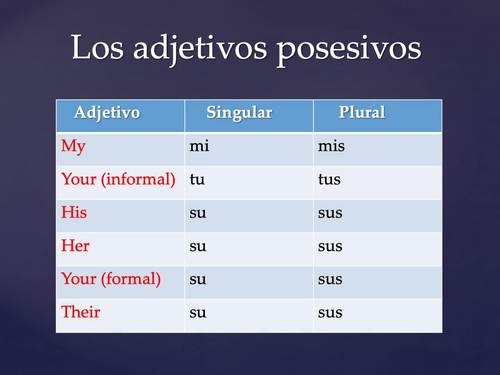 Los Adjetivos Posesivos Powerpoint For Spanish One Distance Learning