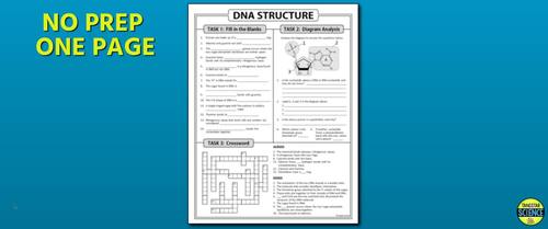 DNA Structure Homework Review Worksheet / Test Prep | Print & Distance  Learning