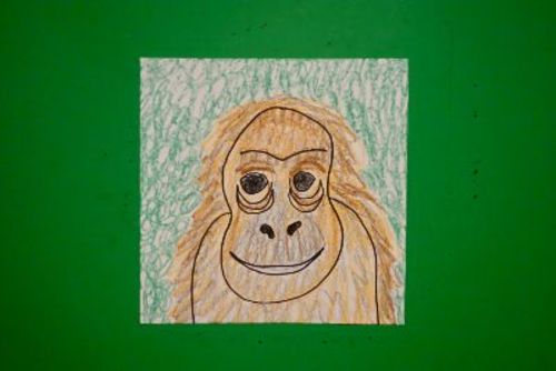 Preview of Let's Draw an Endangered Adult Orangutan!