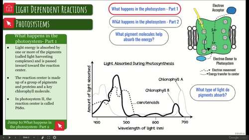 Light Dependent Reactions Interactive Diagram by Science With ...