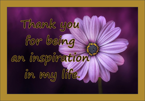 Preview of Thank You My Teacher