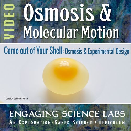 Osmosis Lab—Investigating Osmosis and Diffusion Using Deshelled Eggs.