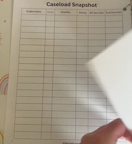 Special Education Teacher Planner by Middle Made Special | TPT