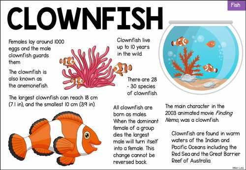 Information about fish outlet