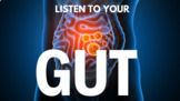 Discover the Gut-Brain Connection for Optimal Brain Function