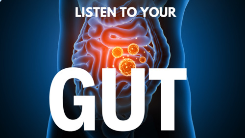 Preview of Discover the Gut-Brain Connection for Optimal Brain Function