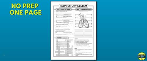 Respiratory System Review Worksheet Test Prep | Print &amp; Distance ...