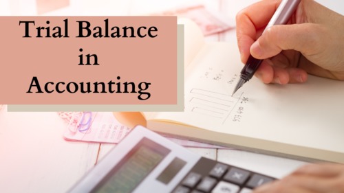 Preview of Learn about TRIAL BALANCE in Accountancy | Checking Accounts | Video Tutorial