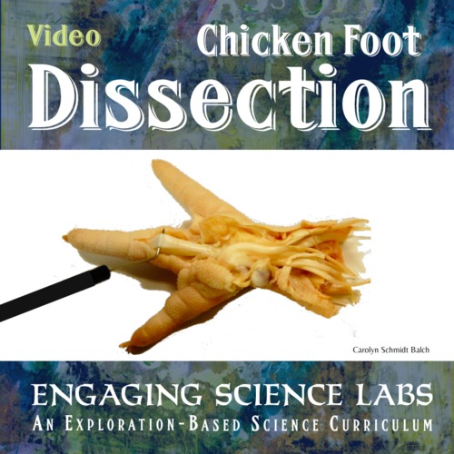 Video Dissection of a Chicken Foot by Engaging Science Labs TPT