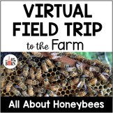 Virtual Farm Field Trip: All About Honeybees