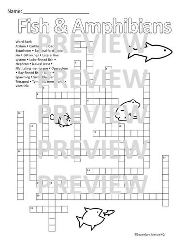 Fish and Amphibians Vocabulary Crossword Puzzle Advanced Biology