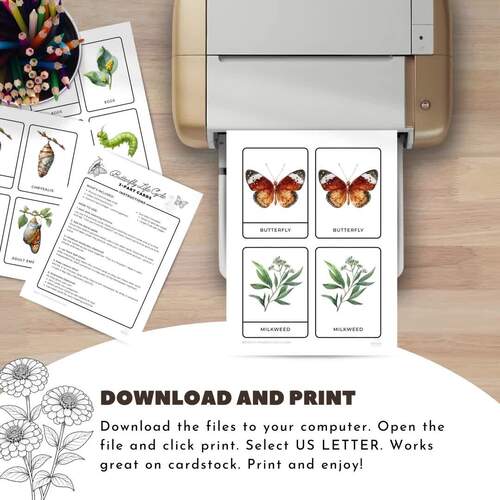 Butterfly Life Cycle 3-Part Cards, Elementary Biology, Animals Science ...