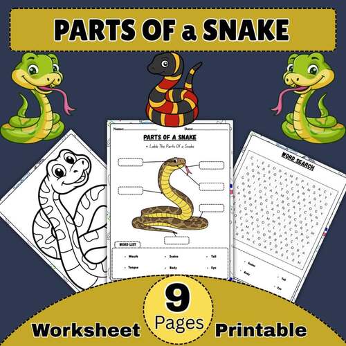Parts Of a Snake Diagram Worksheet | Spring or Reptile - Themed Units ...