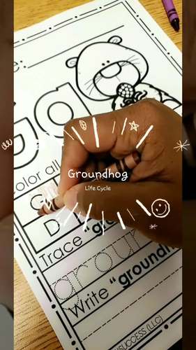 LIFE CYCLE |GROUNDHOG DAY by Teach4SuccessLLC | Teachers Pay Teachers