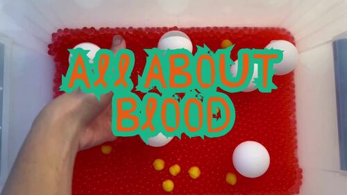 Circulatory System Unit: Lessons Activities Notes Slideshow Science Anatomy Body