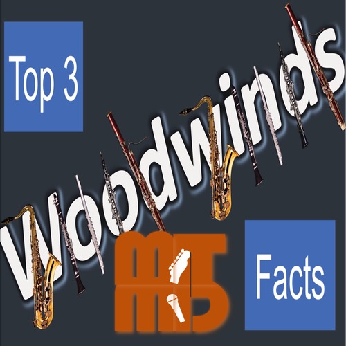 Preview of Things You Didn't Know About Woodwinds w/ Online Video Quiz Instructions