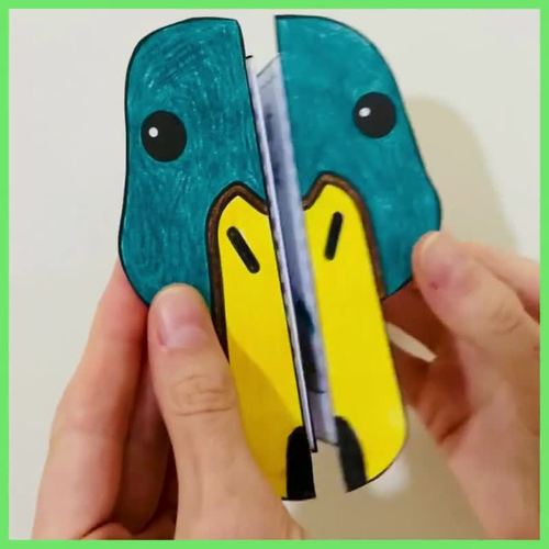 Life cycle of a mallard duck foldable sequencing activity bird cut and