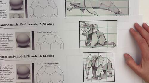 Planar Animal Drawing Worksheets: Grid Drawing & Value Shading Art Lesson