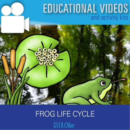 Preview of Biology Life Cycles: Frog Life Cycle Video + Activities Kit