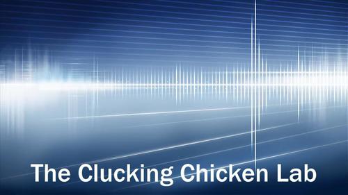 Preview of Clucking Chicken Sound Activity - Vibration, Pitch, Volume, Energy, Amplify