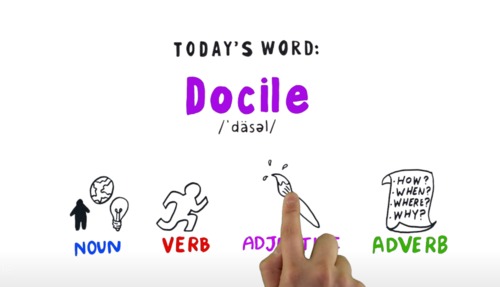 Preview of Word of the Week Vocabulary: DOCILE:  Video + Online Quiz + Activities