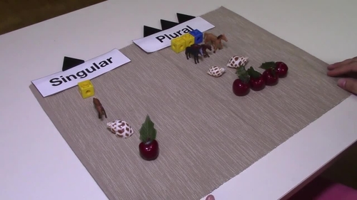Preview of Montessori Plural lesson (Transition from concrete to abstract)