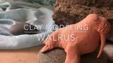 Clay Modeling of Walrus Video | Art Lesson 2 of 5 | Rick T