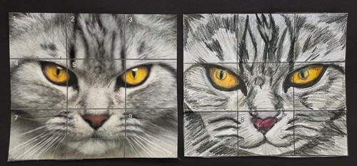 Preview of Realistic Cat Portrait Drawing
