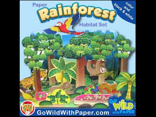 Rainforest Craft Activity Amazon Rainforest Habitat Diorama