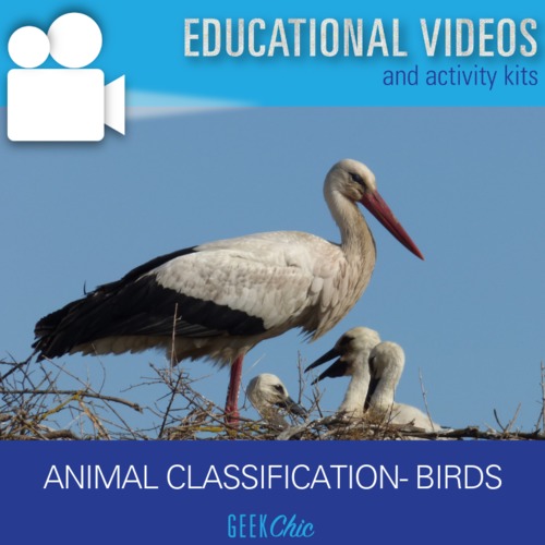 Preview of Animal Classification Birds Video and Activities Kit!