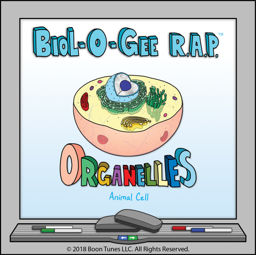 Cell Organelles Biol O Gee R A P By Biology Music Videos Tpt