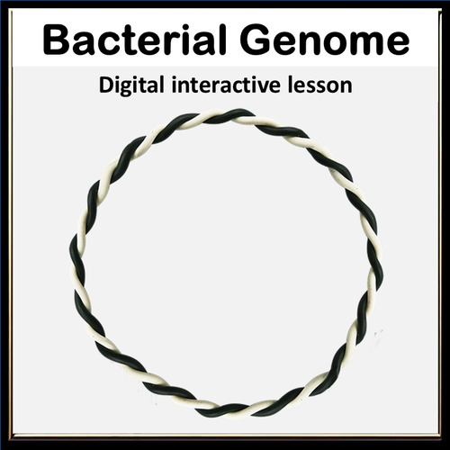 Preview of Bacterial DNA & Genetics | Horizontal Gene Transfer and GMO Applications