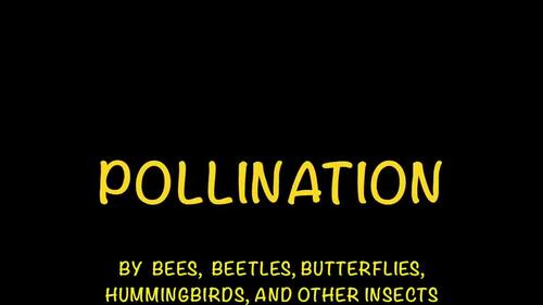 Preview of Pollination by Animals Video