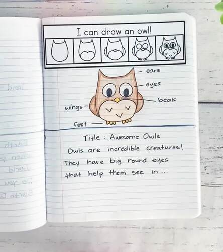 Directed Drawing Notebook Strips, 11 Themes