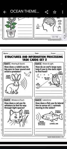 4th Grade NGSS Structures and Information Processing Task Cards | 4-LS1 ...