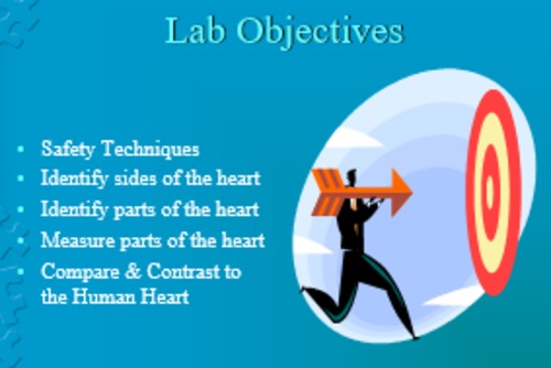 Preview of Heart Dissection Lab Bundle