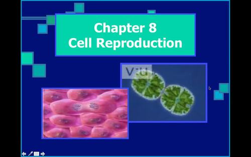 Preview of Biology Lecture Video/Intro to Cell Reproduction/Flipped Classroom/EdpuzzleReady