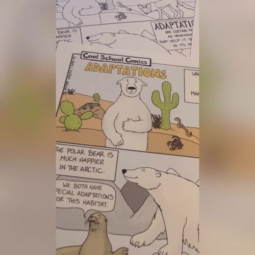 Animal Adaptations Comic and Doodle Notes Activity (Grade 3) | TPT