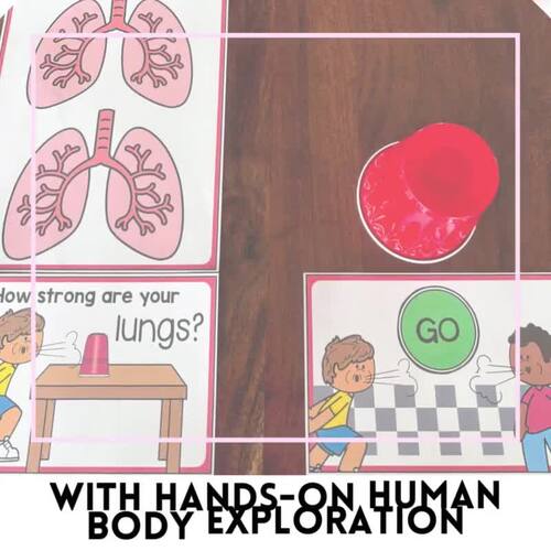 Lung Capacity Measurement Activity for Human Body Math Centers by ...