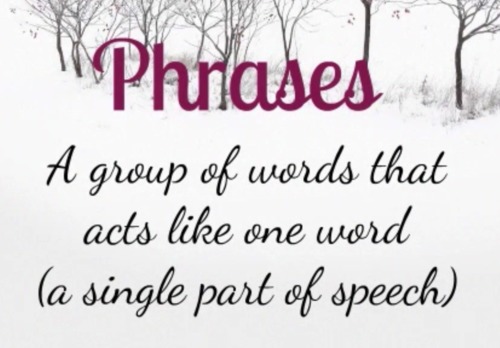 Preview of Phrases (prepositional, appositives, & verbals) - Video Grammar Lesson