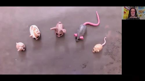 Preview of *STEP-BY-STEP* Polymer Clay Video Tutorial - Beginner Animals - Rodents