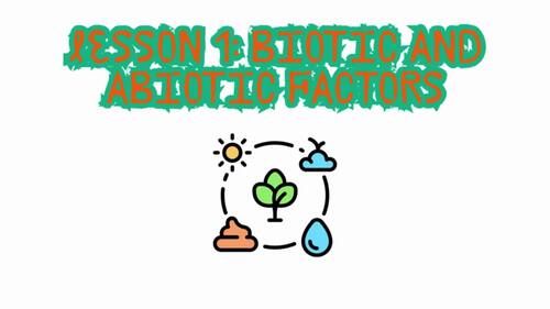Ecology Unit: Full Lesson Plans Symbiosis Adaptations Food Chains ...