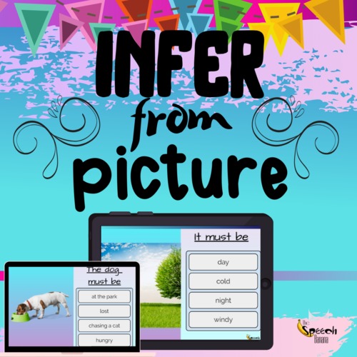 Preview of Infer from Picture