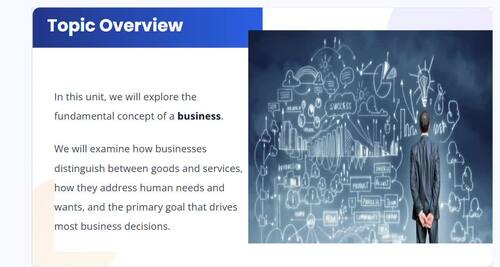 AP Business - ENTIRE COURSE PRESENTATIONS & Infographics BUNDLE - New CED
