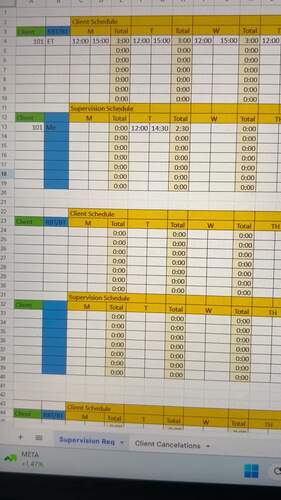 ABA Client Tracker – Hours, Supervision, and Parent Training Log